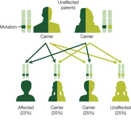 Genetic testing can identify couples at risk for passing on genetic conditions to offspring.